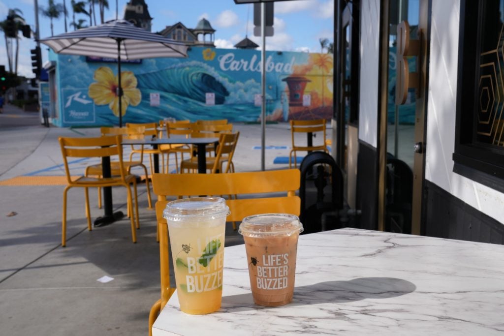 Guide to The Best Things to Do in Carlsbad, CA