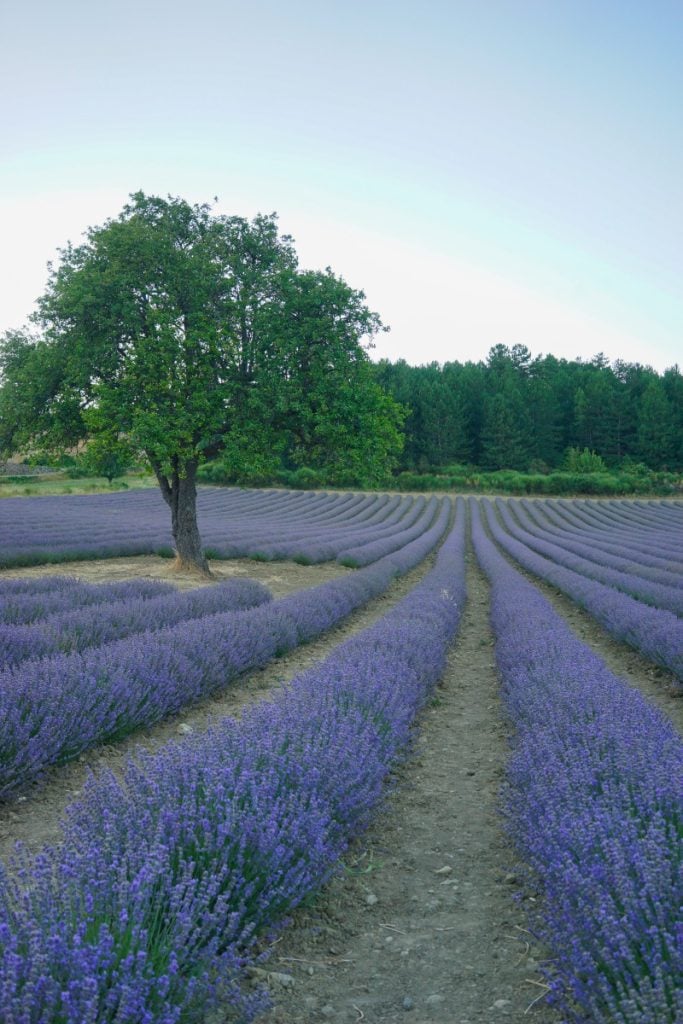 The Best Villages to Stay in Provence (Where to Base Yourself)
