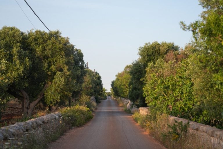 Renting a Car in Puglia, Italy: What You Need to Know Renting a Car in Puglia, Italy