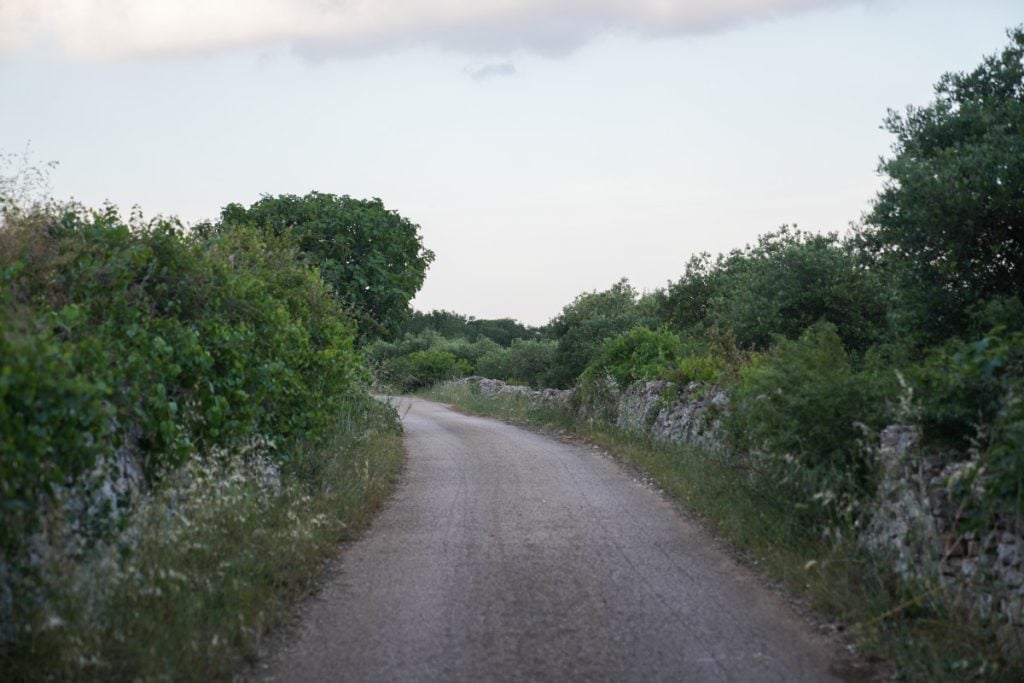 Renting a Car in Puglia, Italy