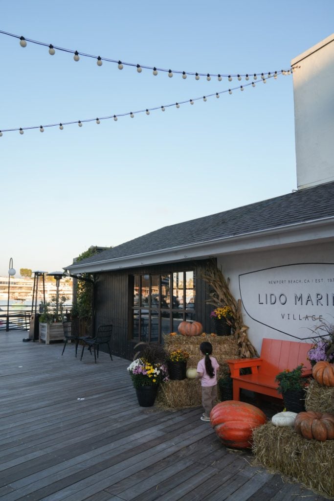 Best Things to Do in Newport Beach, California