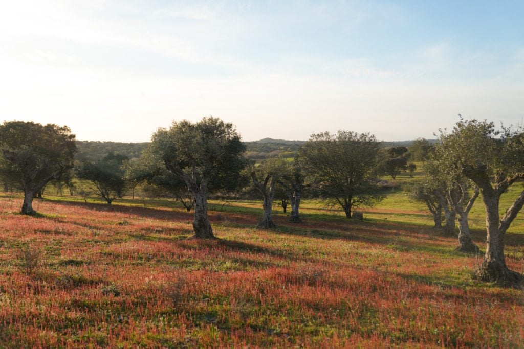 The Complete Guide to Exploring The Alentejo Region of Portugal