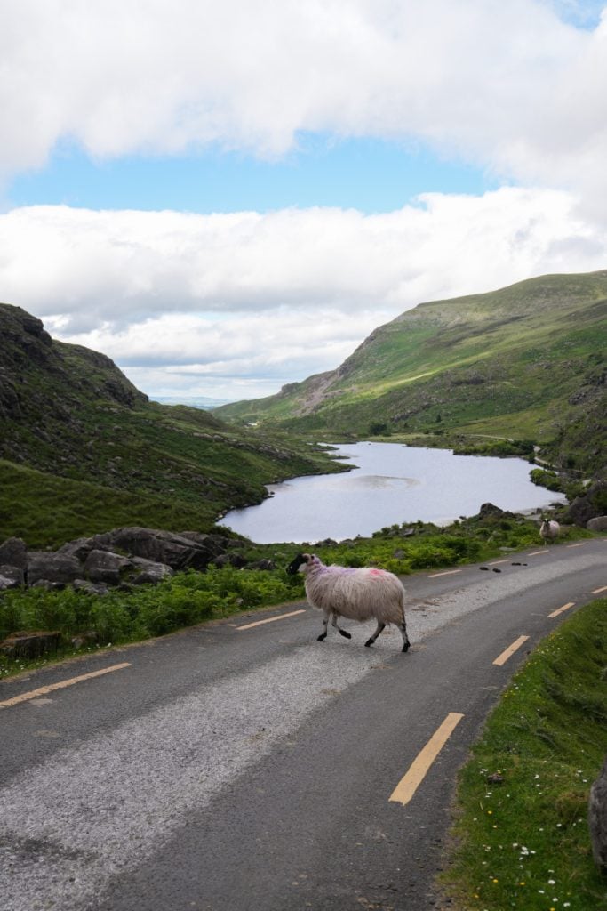 thewildatlanticwayitinerary