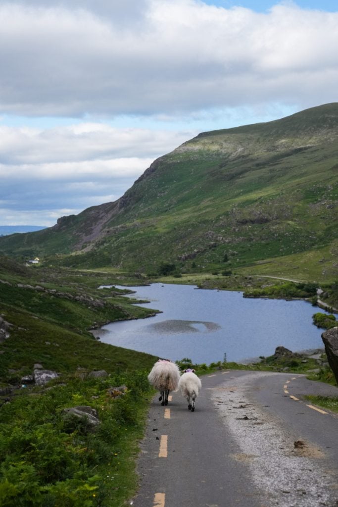 thewildatlanticwayitinerary