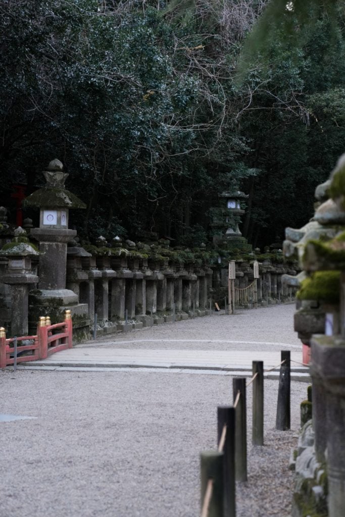 The Ultimate Nara Day Trip Itinerary From Osaka or Kyoto