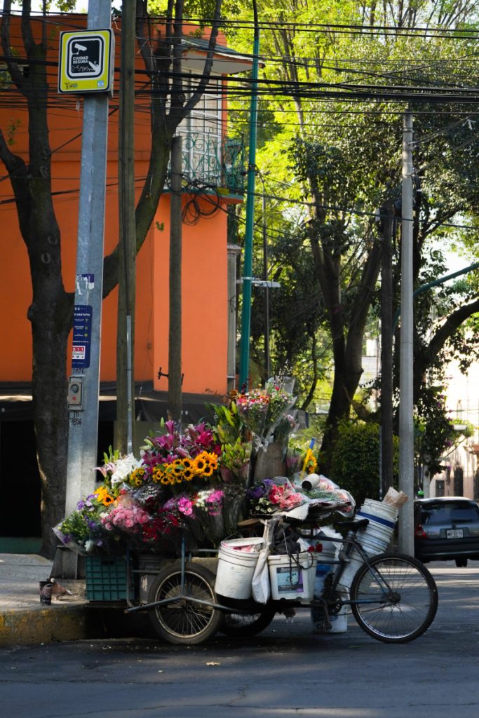 The Ultimate Mexico City Travel Guide Where to Eat, Stay, and Play