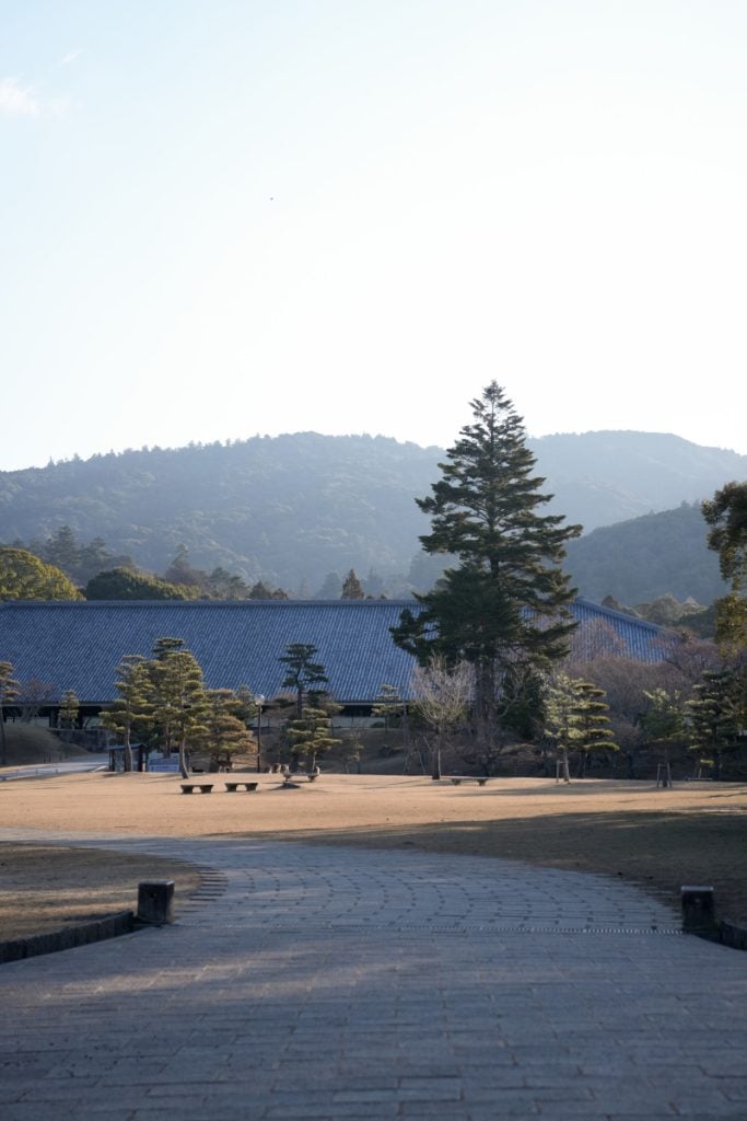 The Ultimate Nara Day Trip Itinerary From Osaka or Kyoto