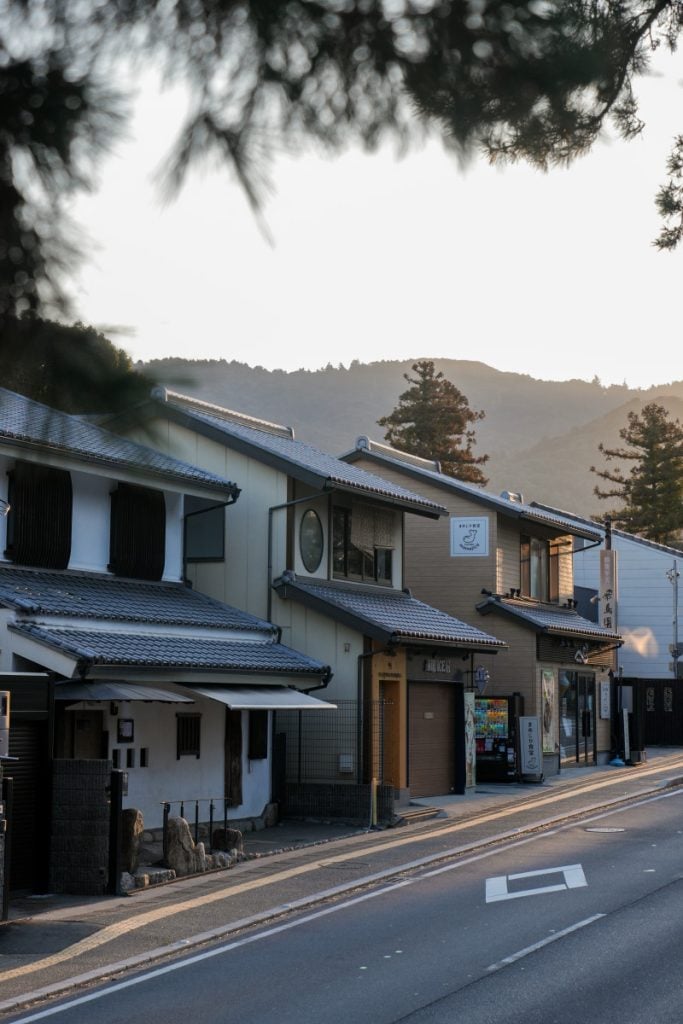 The Ultimate Nara Day Trip Itinerary From Osaka or Kyoto