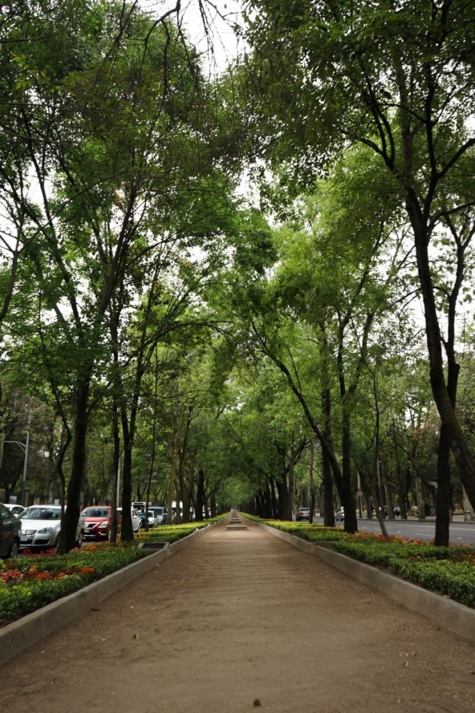 The Ultimate Mexico City Travel Guide: Where to Eat, Stay, and Play