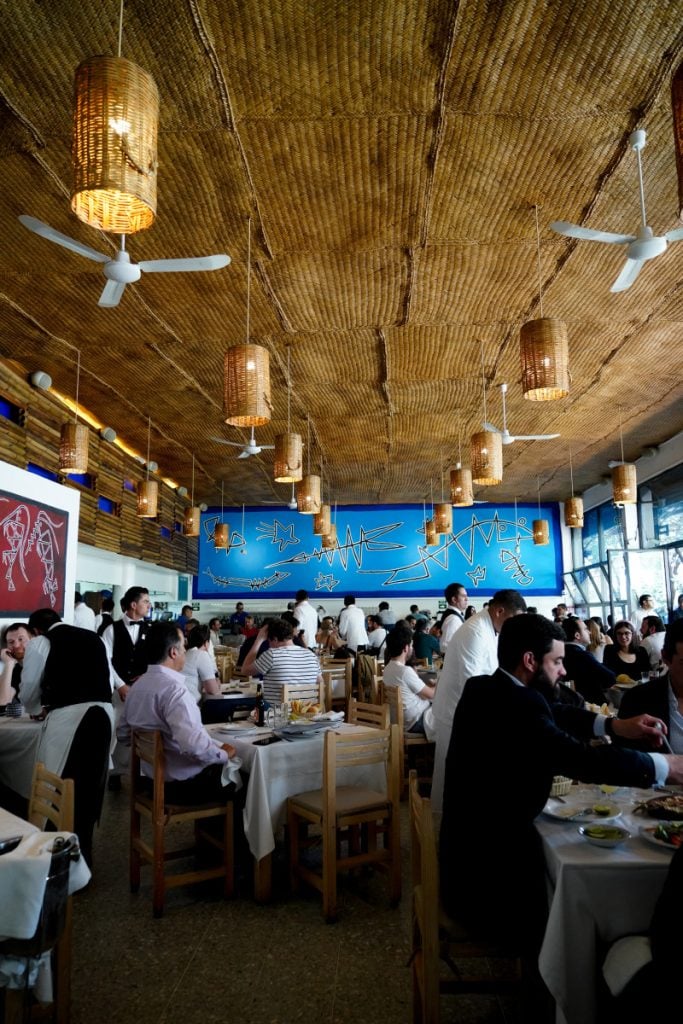 The Ultimate Mexico City Travel Guide: Where to Eat, Stay, and Play