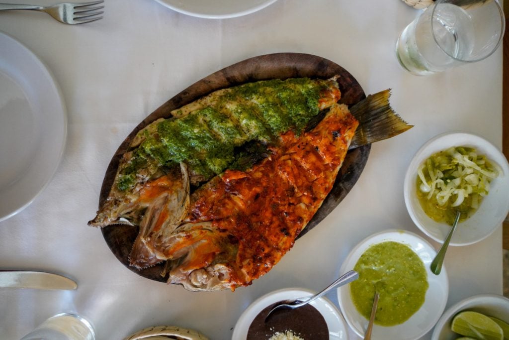 The Ultimate Mexico City Travel Guide Where to Eat, Stay, and Play
