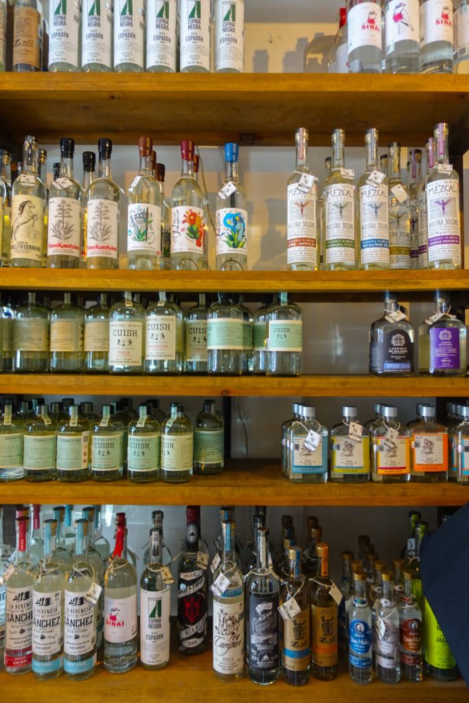 The Ultimate Mexico City Travel Guide: Where to Eat, Stay, and Play