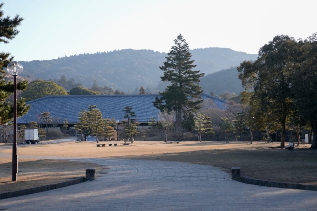 The Ultimate Nara Day Trip Itinerary From Osaka or Kyoto