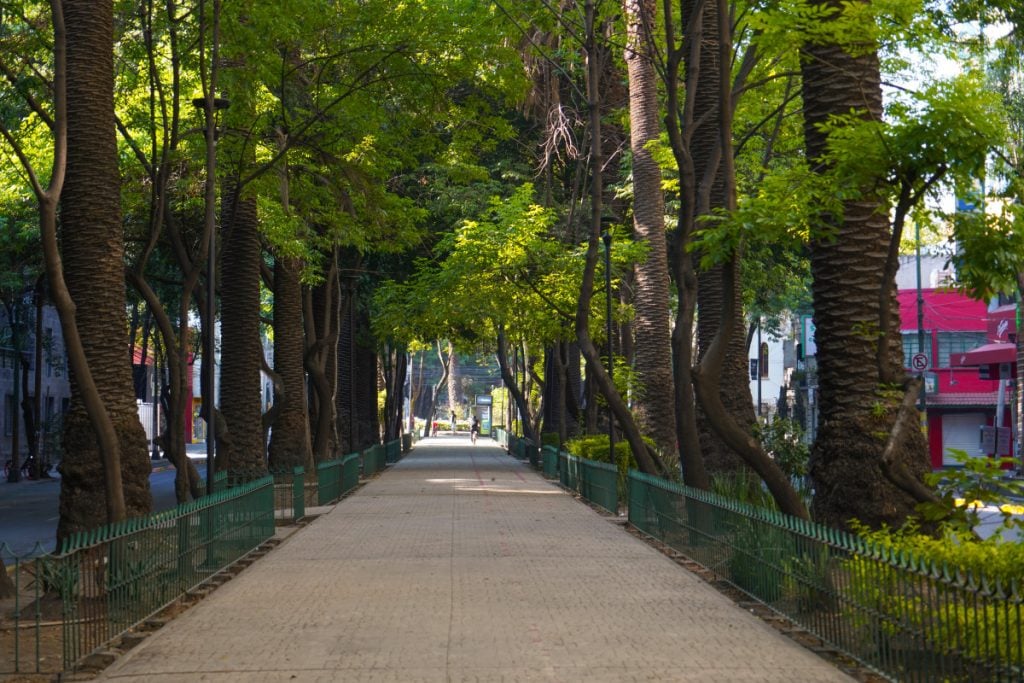 The Ultimate Mexico City Travel Guide: Where to Eat, Stay, and Play