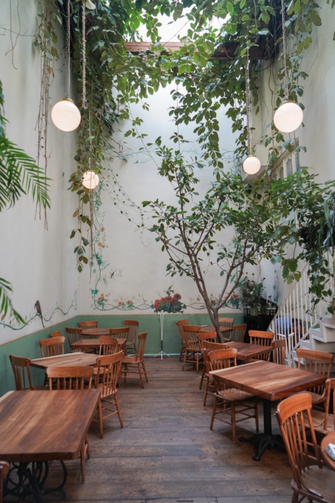 The Ultimate Mexico City Travel Guide: Where to Eat, Stay, and Play