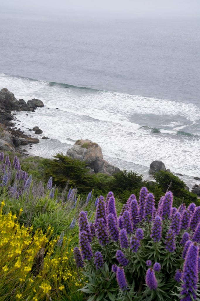 A Weekend Guide to Stinson Beach, California