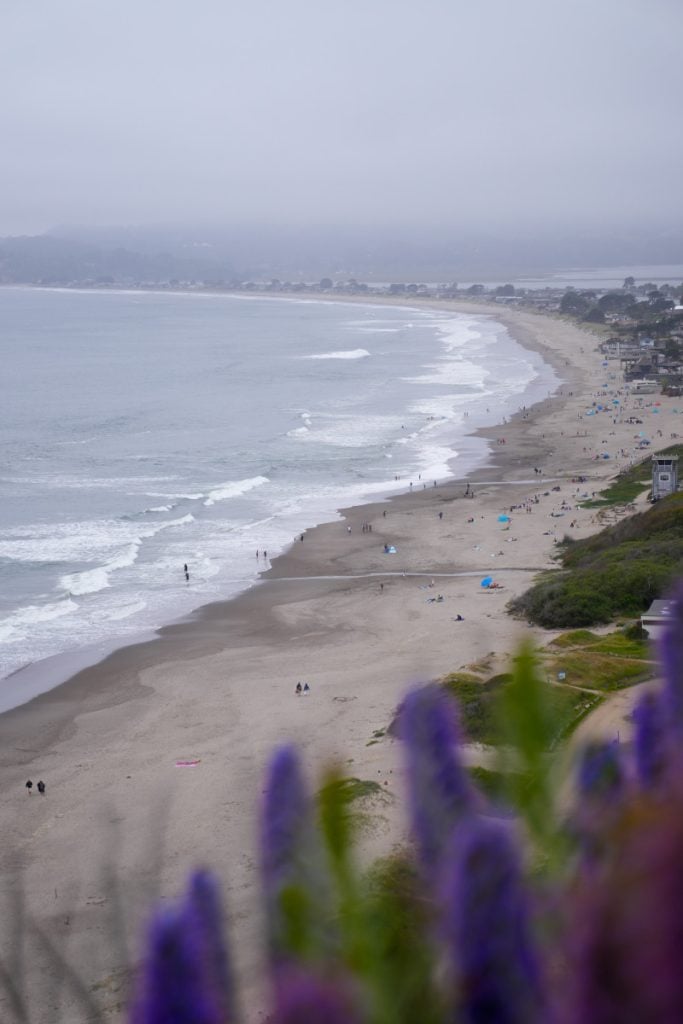 A Weekend Guide to Stinson Beach, California