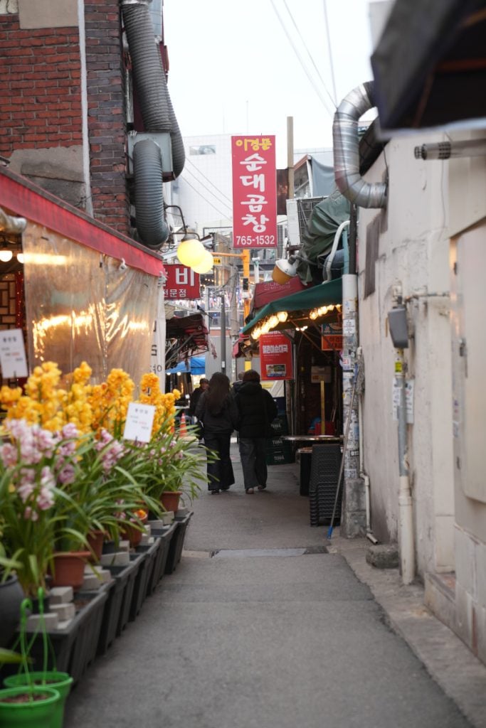 Flower-lined shopping alley in Ikseon-dong Hanok Village