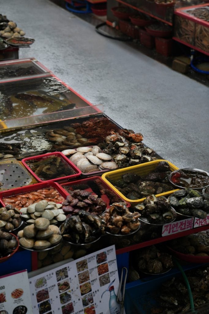 Complete 3-Day Busan Itinerary: Best Things to Do in Busan