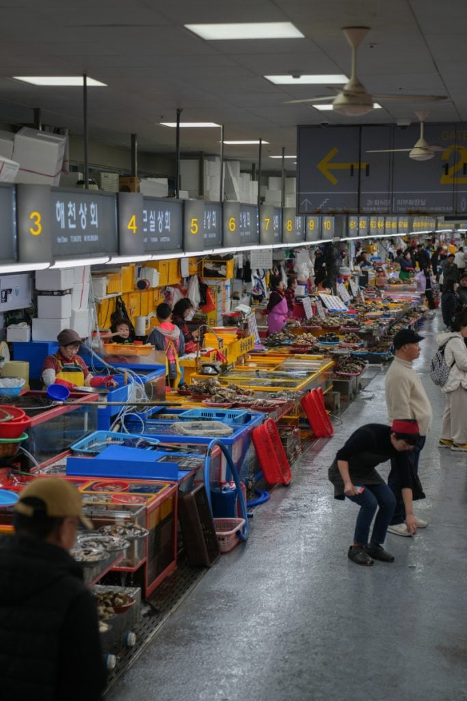 Complete 3-Day Busan Itinerary: Best Things to Do in Busan
