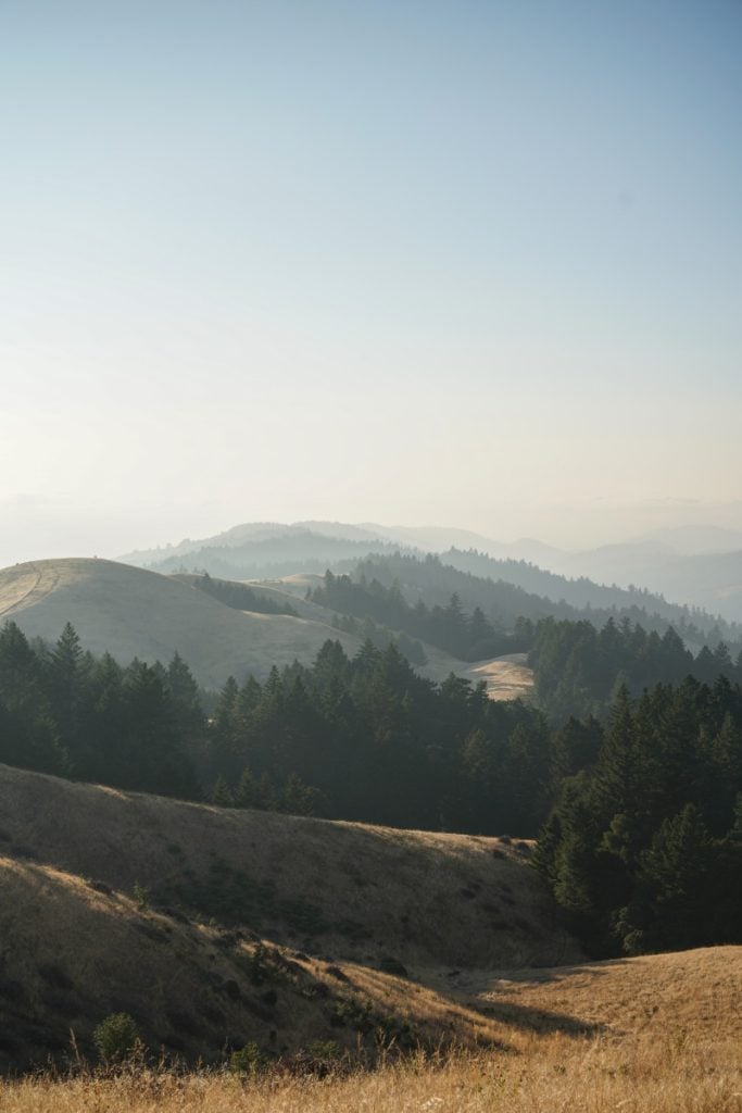 A Weekend Guide to Stinson Beach, California
