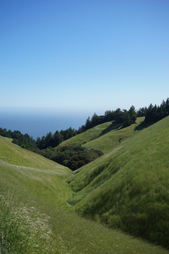 A Weekend Guide to Stinson Beach, California