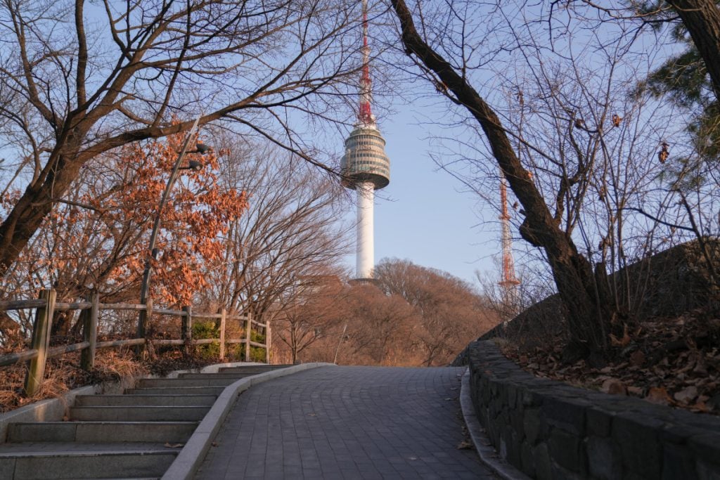 N Seoul Tower above a path through leafless trees