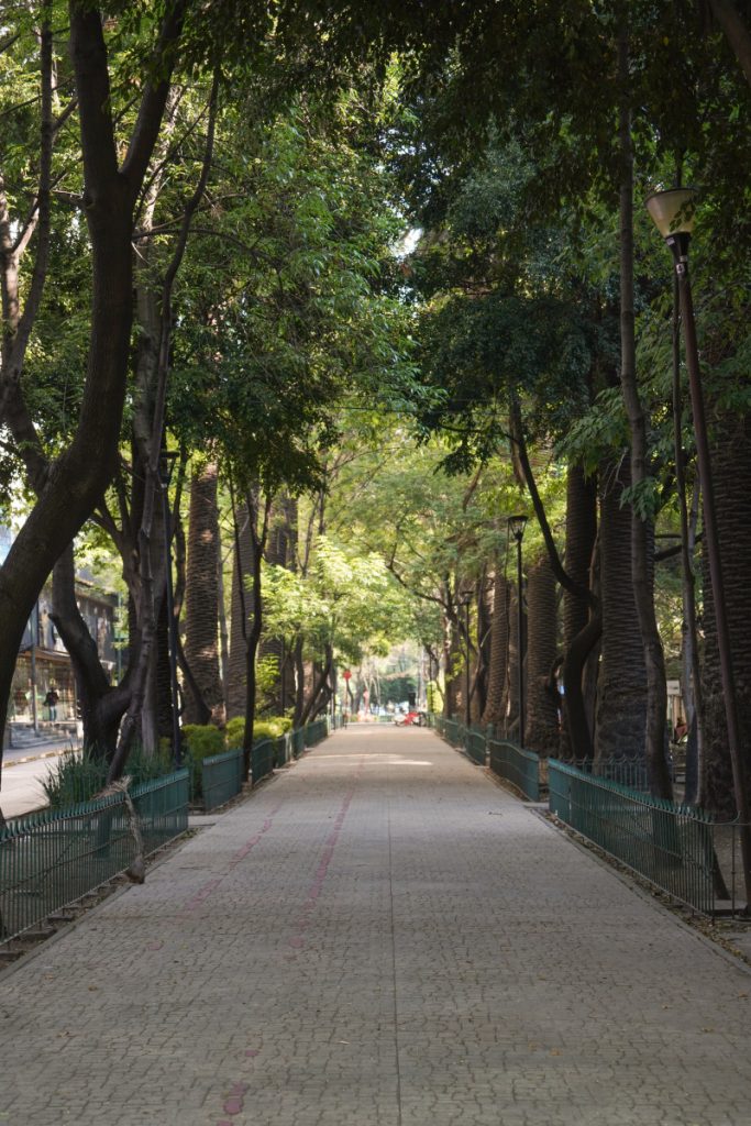 Where to Stay in Mexico City: 5 Best Areas For First-Timers