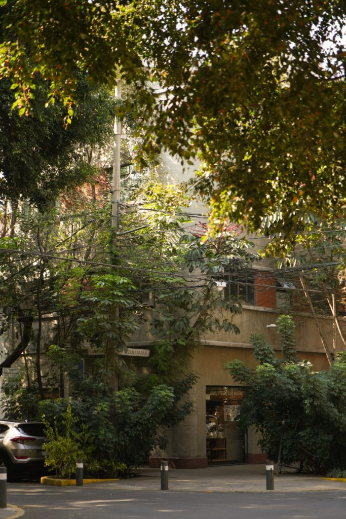 Where to Stay in Mexico City: 5 Best Areas For First-Timers