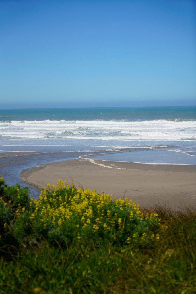 A Weekend Guide to Bodega Bay, California