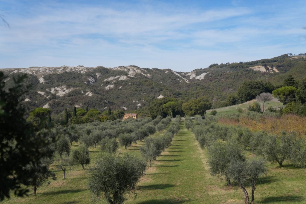 Ultimate Val d'Orcia Travel Guide: Where to Visit and What to Do