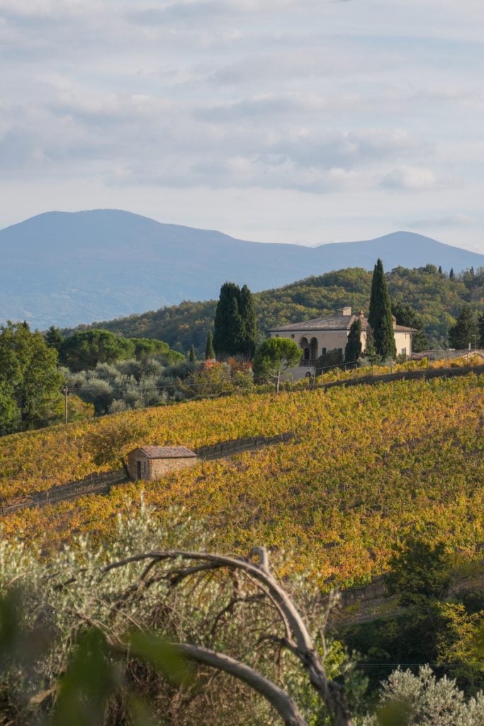 Ultimate Val d'Orcia Travel Guide: Where to Visit and What to Do