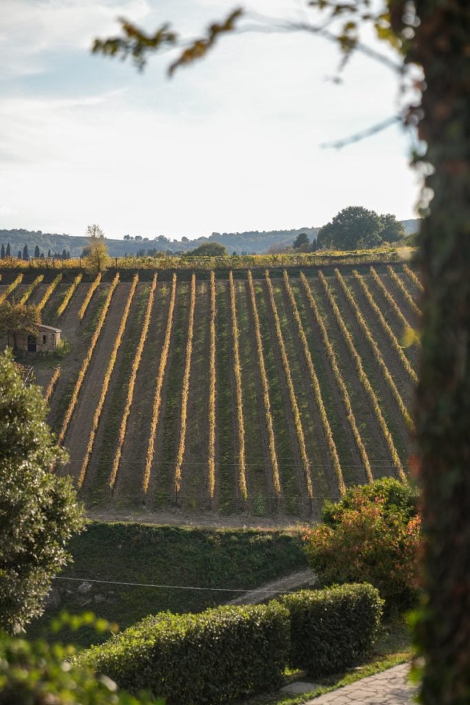 Ultimate Val d'Orcia Travel Guide: Where to Visit and What to Do
