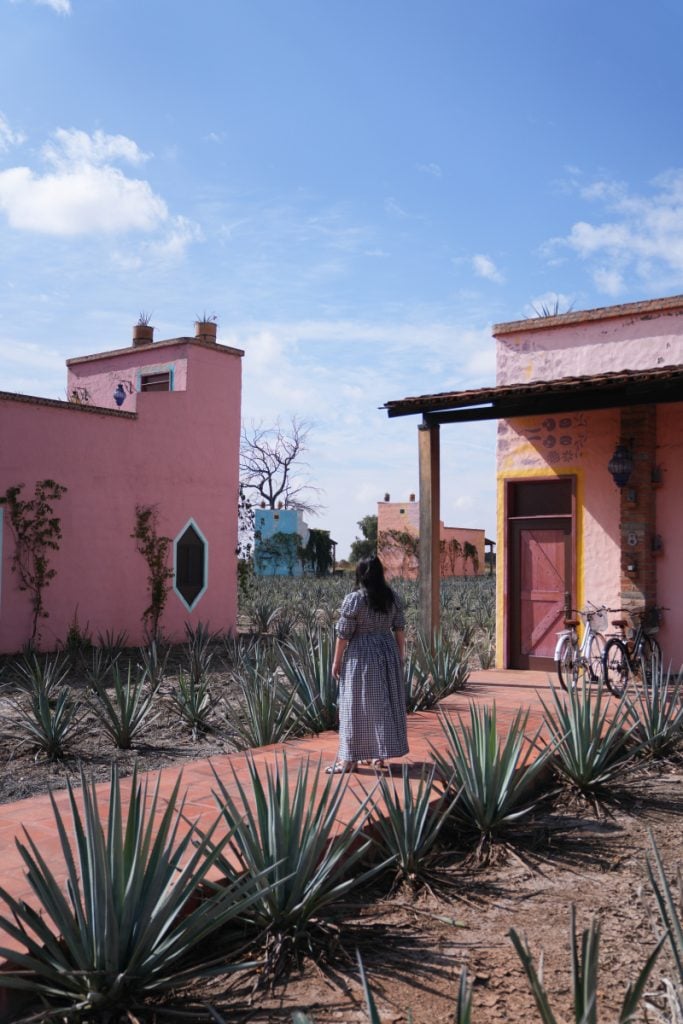 16 Best Things to Do in Guadalajara, Mexico: First-Timer's Guide