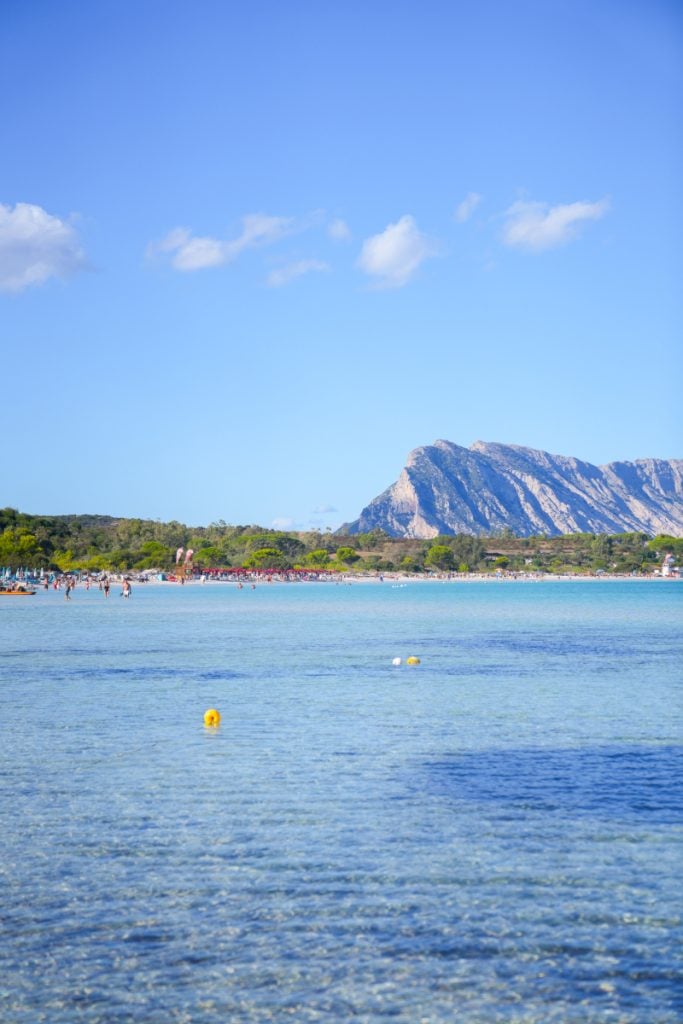 Cala Brandinchi waters