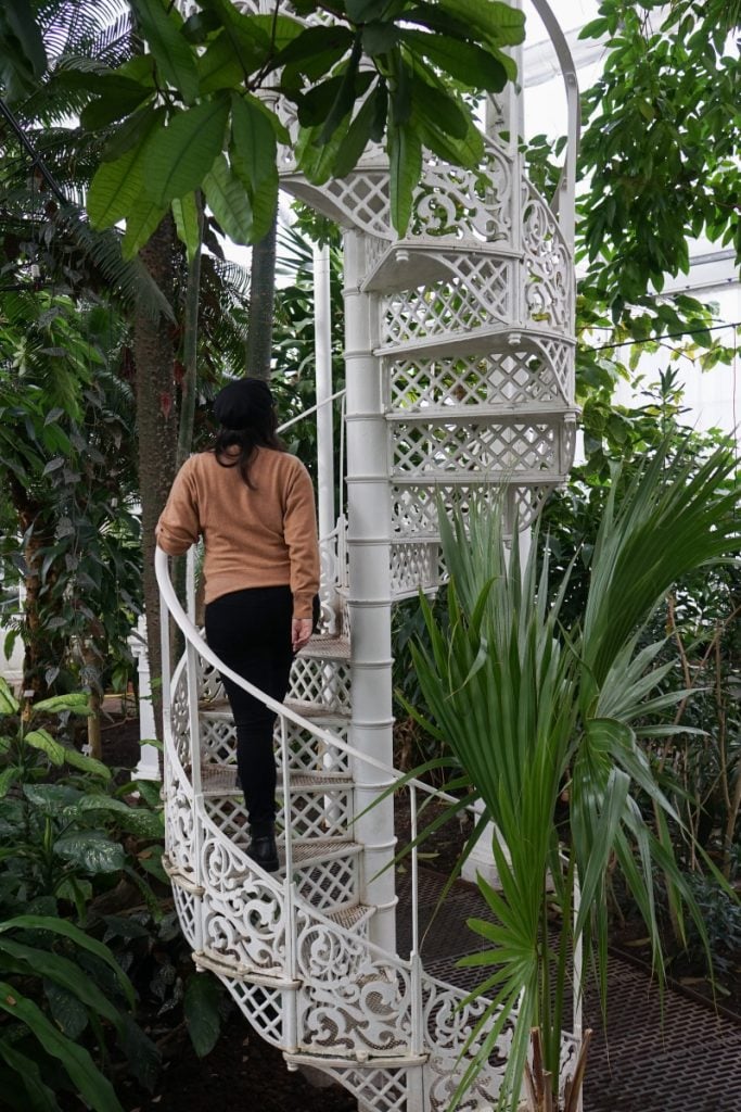 Spiral staircase among tropical plants inside the Palm House