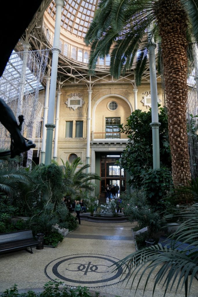 Palm trees beneath the glass dome at Ny Carlsberg Glyptotek