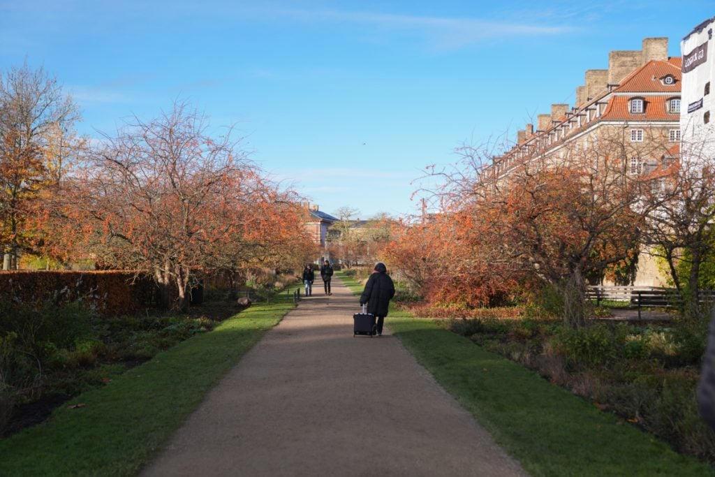 Autumn walking path through King's Garden in Copenhagen