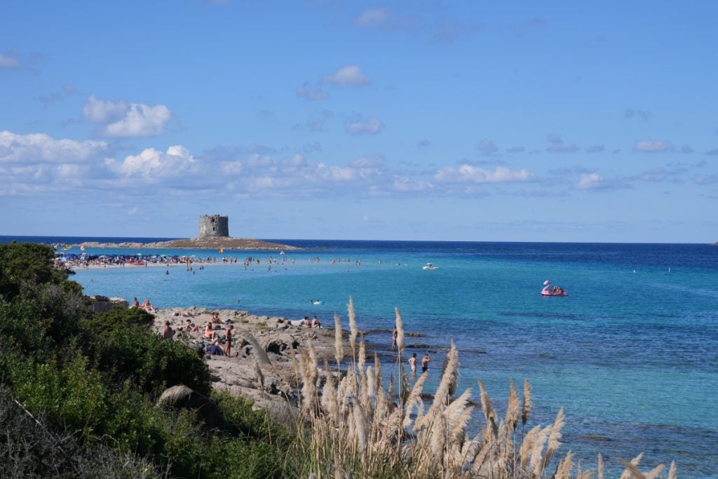 La Pelosa beach with turquoise water in Stintino, Sardinia