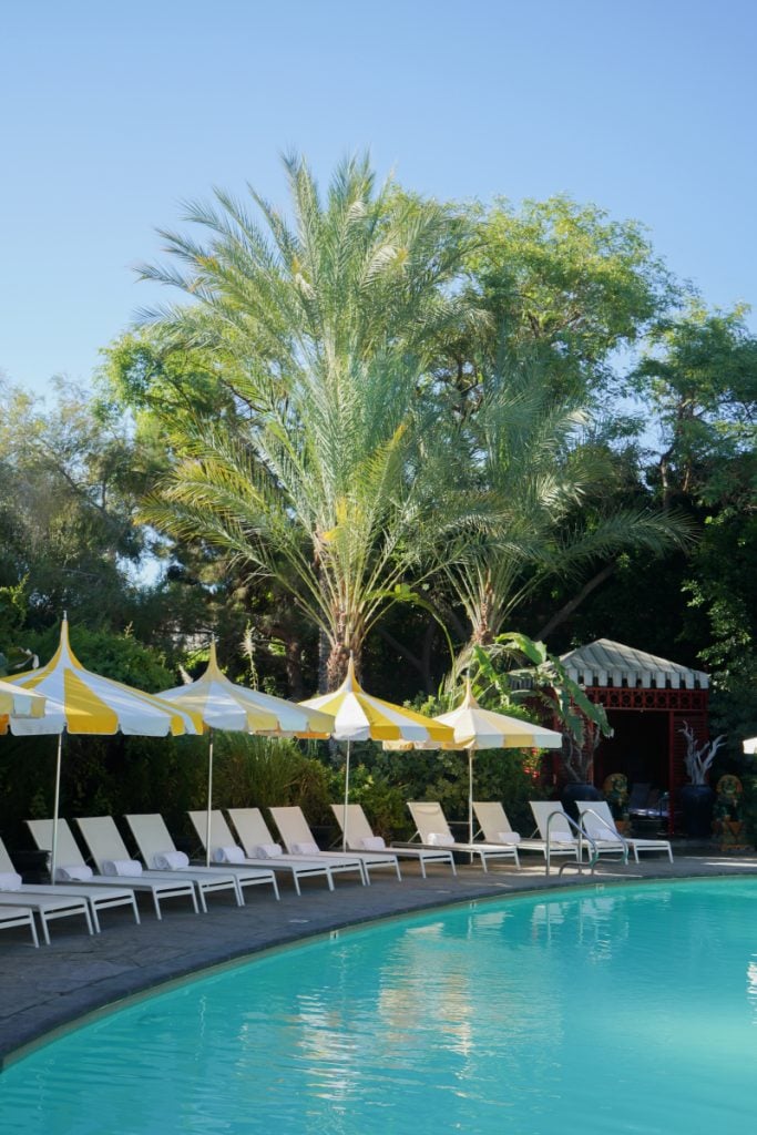 The pool at The Parker Palm Springs