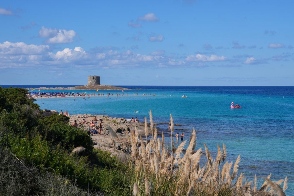Turquoise shallow water and white sand at La Pelosa beach in Sardinia