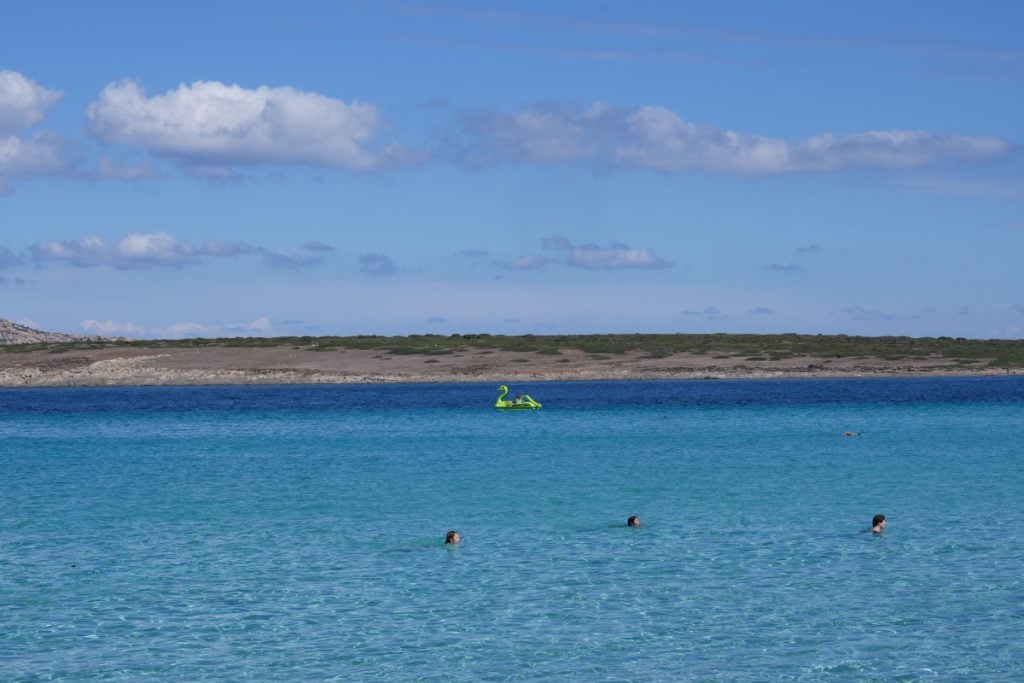 Shallow crystal-clear water with paddleboarders at La Pelosa beach Sardinia