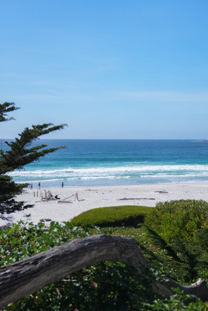 Where to Stay in Carmel-by-the-Sea Best Hotels & Stylish Airbnbs