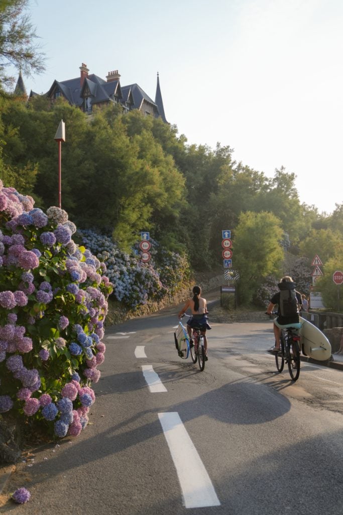 Two cyclists ride past hydrangeas in Biarritz
