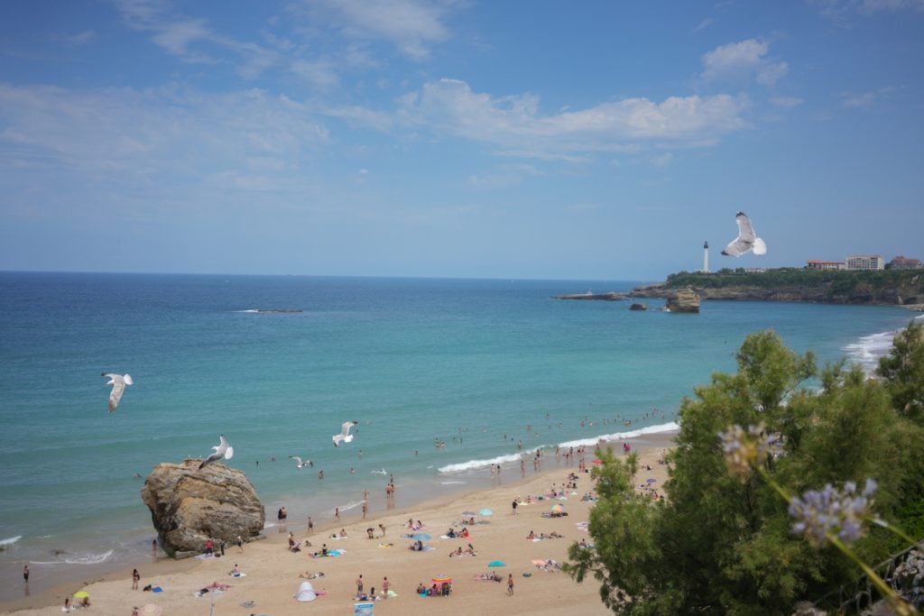 Beachgoers and seagulls at La Grande Plage