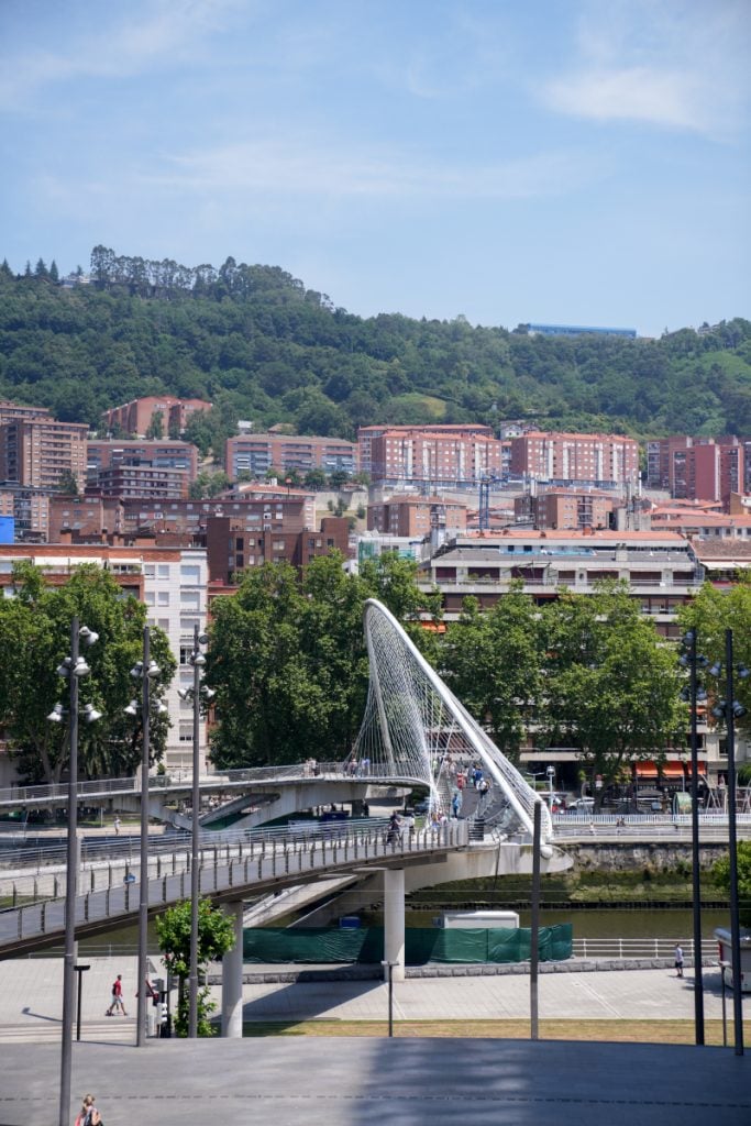Zubizuri Bridge with hillside apartments in the background