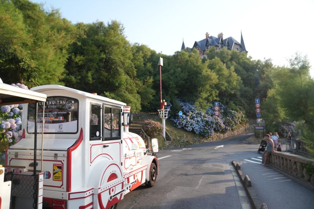 Petit Train de Biarritz on a hydrangea-lined road