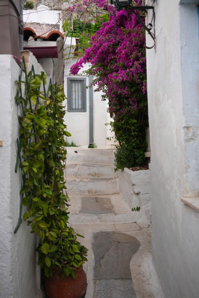 Bougainvillea arches over a narrow whitewashed lane in Anafiotika