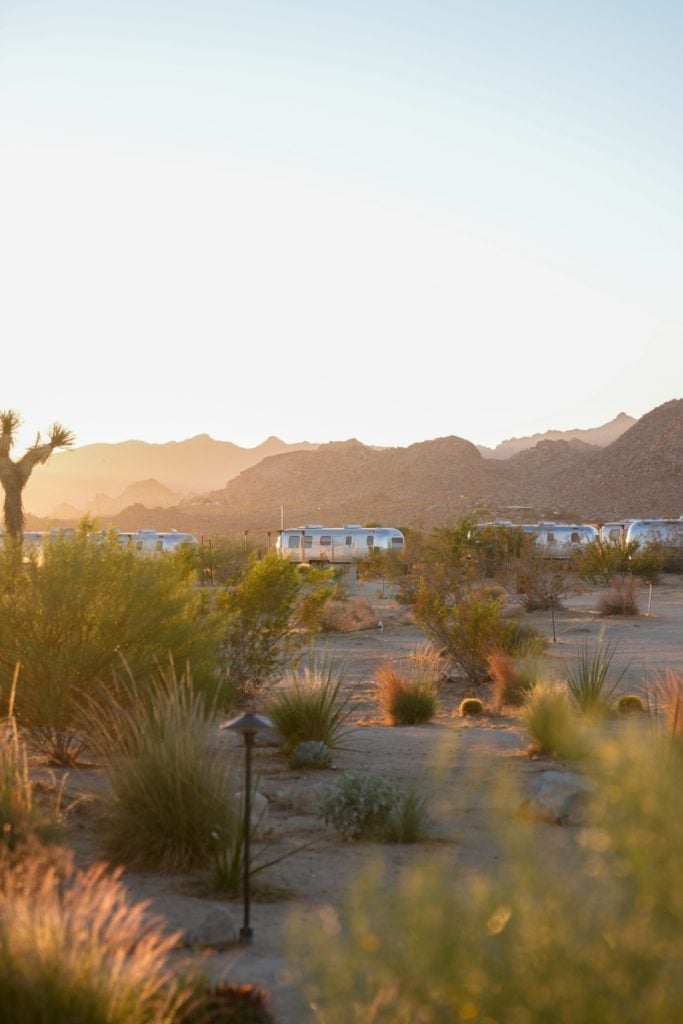 Airstream trailers among desert plants and mountains at AutoCamp Joshua Tree