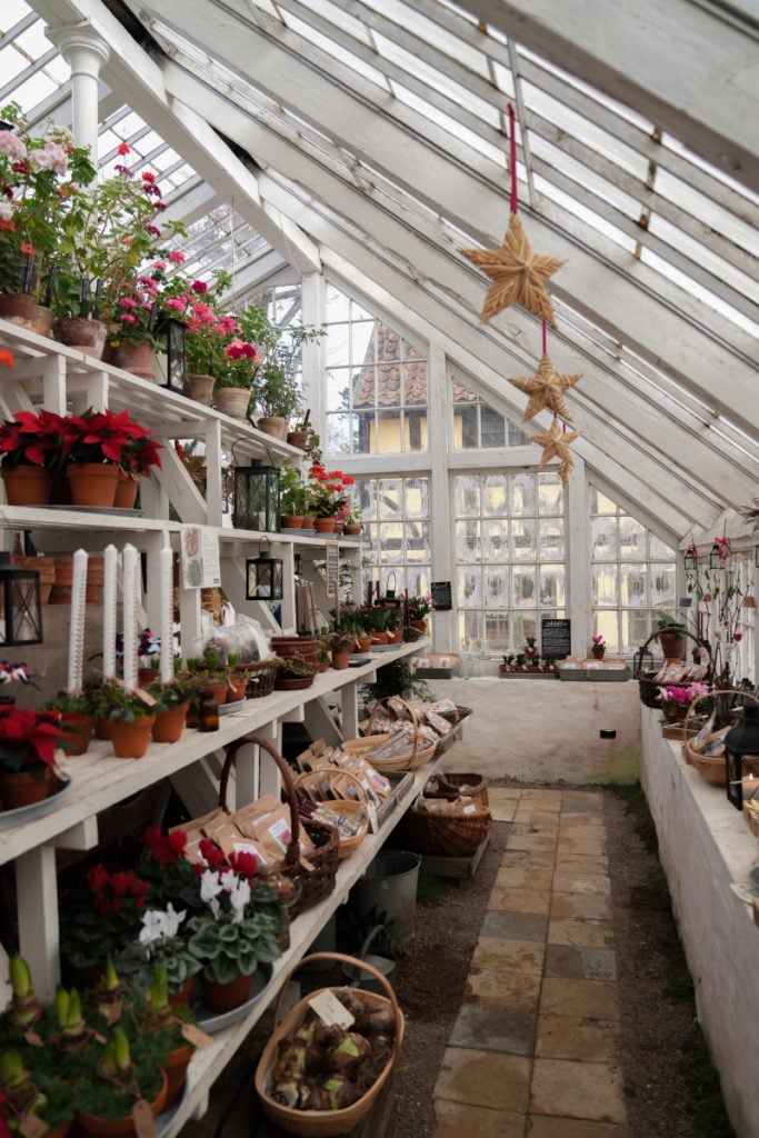 Potted flowers and woven stars inside Den Gamle By greenhouse